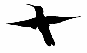 Png, psd, icons, and vectors. Bird Flying Hummingbird Png Image Black Hummingbird Flying Clipart Transparent Png Download 39141 Vippng