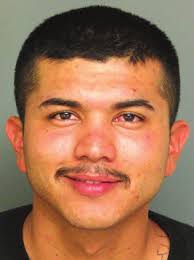 Carmel Pine Cone, November 20, 2009