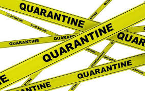 Personen in quarantäne dürfen die wohnung nicht verlassen und keine. Schweiz Erweitert Liste Fur Quarantane Auf 42 Lander Htr Ch