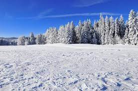 wikiloc picture of le chalet a gobet 2 3