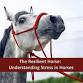The Resilient Horse: Understanding Equine Stress event image