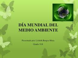 Día mundial del medio ambiente. Dia Mundial Del Medio Ambiente