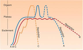 Masters and Johnson's female sexual response cycle that can be... |  Download Scientific Diagram