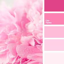 Get the new album 'hurts 2b human' ft. Pastel Shades Of Pink Color Palette Ideas Color Palette Pink Color Palette Pastel Colour Palette