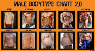Male Body Chart Khoi Hoang