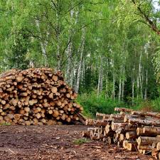 Lot Clearing Service Manhattan