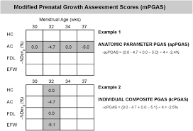 Image result for Growth Assessment