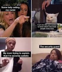 For the best cat and animal cute pet videos, subscribe to my channel! Hilarious Cat Memes To Make You Laugh Right Meow