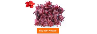 Hawaiian flowers hibiscus flowers flowers nature exotic flowers tropical flowers amazing flowers white flowers beautiful flowers lilies flowers. Can Sulcata Tortoise Eat Dried Hibiscus Flowers Pet Sulcata Tortoise