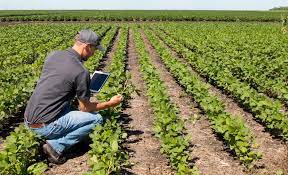 Comenzó la inscripción de los productores agrícolas que opten por responder online el Censo Agropecuario y Forestal