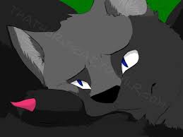 ambiguous form ambiguous gender ashfur (warriors) black fur  feline fur grey fur male maleambiguous male focus male only mammal penis  scourge (warriors) thathornycat warriors (cats) 