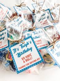 Birthday Party In A Box Quarantine Pin On Boy Birthdays