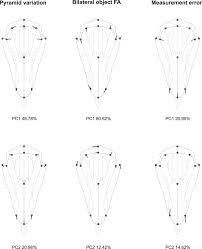 None of the rest dared join them, but the people held them in high esteem. Geometric Morphometrics Of Nested Symmetries Unravels Hierarchical Inter And Intra Individual Variation In Biological Shapes Scientific Reports