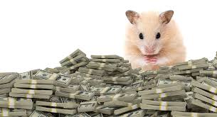 $640 for the application, and How Much Do Hamsters Cost Can You Afford This Tiny Pet