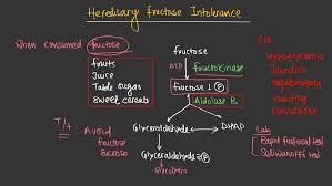 Image result for Hereditary Fructose Intolerance