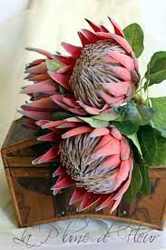 King Protea Artificial Protea Red King Protea Single Stem Protea Flower Protea Art Artificial Flowers