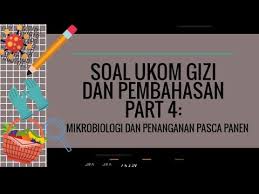 Maybe you would like to learn more about one of these? Soal Uji Kompetensi Ukom Gizi Dan Pembahasan Part 4 Soal Gizi Youtube