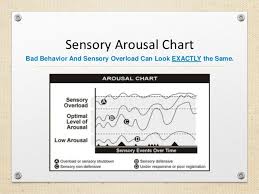 Planning For Children With Sensory Processing Disorder