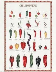 Food Variety Posters Google Search 2017 Stuffed