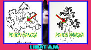 We did not find results for: Gambar Pohon Nangka Untuk Psikotes 48 2021