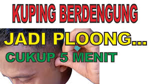We did not find results for: Cara Mengatasi Telinga Berdenging Terus Menerus Tinnitus Dengan Pijat Refleksi Youtube