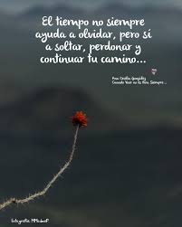 El Tiempo Cuandovivirnoesparasiempre Frasesparalavida Frases Tiempo Eltiempo Olvidar Perdonar Frases Alentadoras Frases Sabias Frases De Amor Libros