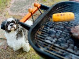 Ancient dna extracted from the cob gives a window into the past to the time when maize was first grown. Can Dogs Eat Corn On The Cob