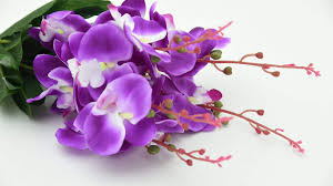 It's their birthday so it's time to spoil them rotten! Best Birthday Flowers That Bring Good Luck Bloomsvilla