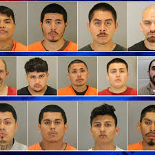 14 Gang Members Arrested 2 More Wanted After Drug And Weapon Operation Kptm