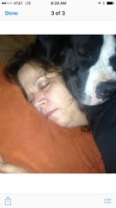 My Sean came into our lives 9 years ago today. He's 14 now and is my  constant companion. Thank you to Magnolia Setter Rescue and Keith Ostrander  for letting him be my boy.