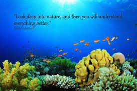List 14 wise famous quotes about aquaria: Nature Quote Aquarium Live Wallpaper Aquarium Custom Aquarium