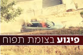מחבל שעט דרס שוטר וחייל ופצע אותם באורח קל. 4dhuiah5loiiwm