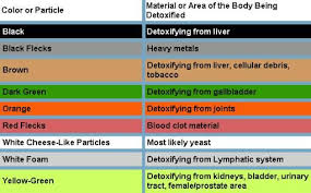 Use This Ion Detox Chart To Identify The Toxins That Are