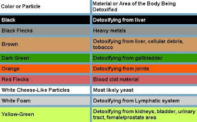 use this ion detox chart to identify the toxins that are