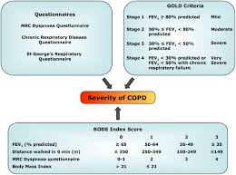 Data adapted from global initiative for chronic obstructive lung disease (gold): Systems Biology Coupled With Label Free High Throughput Detection As A Novel Approach For Diagnosis Of Chronic Obstructive Pulmonary Disease Respiratory Research Full Text