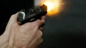 Resultado de imagem para imagem de arma de fogo