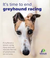 Dianna Thacker (@thacker_dianna)