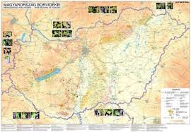 A kárpátaljai bevonulással és a második bécsi döntéssel visszaszerzett területek három. Magyarorszag Domborzata Faliterkep Konyoklo Stiefel 65x45 C