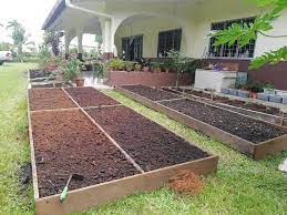 Merancangnya menjadi hunian impian juga dibutuhkan kesabaran dan gagasan yang kreatif biar hunian nggak sekedar enak dipandang namun juga sesuai sama semua fungsinya. Penmerahdotcom Tanam Sayur Depan Rumah Masa Pkp Lepas Facebook