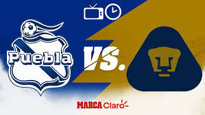 On the 22 august 2021 at 17:00 utc meet pumas unam vs puebla in mexico in a game that we all expect to be very interesting. Liga Mx Clausura 2021 Puebla Vs Pumas Horario Y Donde Ver Hoy En Vivo Por Tv El Partido De La Jornada 16 Del Guardianes 2021 Marca