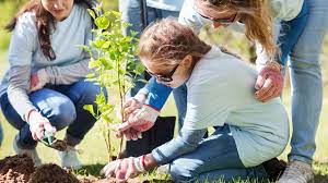 7 Different Ways Students Can Contribute To Society - Walkertown Academy