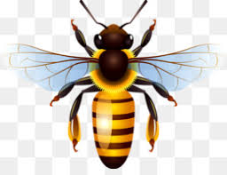 Gambar kartun hewan lebah bestkartun 22 06 2019 gambar kartun hewan lebah selamat jumpa sobat yang kita senangi saat ini kami hendak memaparkan terkait tentang gambar animasi ini sumber gambar : Lucu Lebah Unduh Gratis Lebah Kartun Serangga Clip Art Lucu Lebah Gambar Png