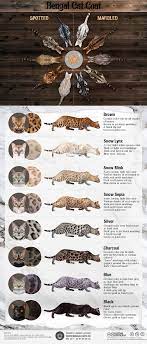 150 Cute Ideas Cute Animals Animals Beautiful Baby Animals