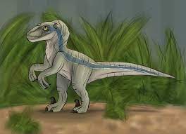 She is the oldest of the four raptors in her pack consisting of her, delta, echo, and charlie. Jurassic World Blue The Velociraptor By Dinosauralicia On Deviantart