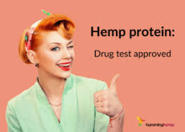 We did not find results for: Will Hemp Protein Cause You To Fail A Drug Test Humming Hemp