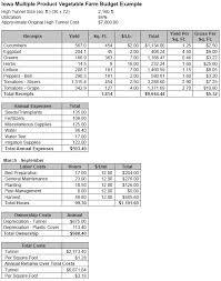 Detailed personal budgeting excel sheet. Vegetable Production Budgets For A High Tunnel Ag Decision Maker