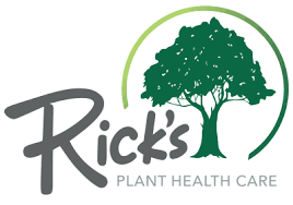 They have many different skills, including thoroughly maintaining. Certified Arborists In Phoenixville Pa Rick S Plant Health