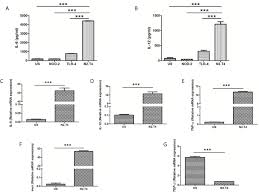 Image result for tbn:oICZ-UHpUGgp-M::files.nireblog.com/blogs/familiaschwingel/files/familias2.bmp