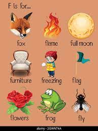 But there is one crucial element that doesn't appear. Different Words Begin With Letter F Stock Vector Image Art Alamy