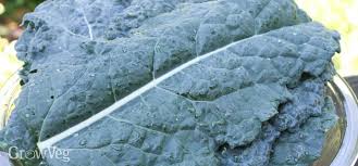 Do you have swelling in your foot and ankle? 3 Common Kale Pests And How To Manage Them